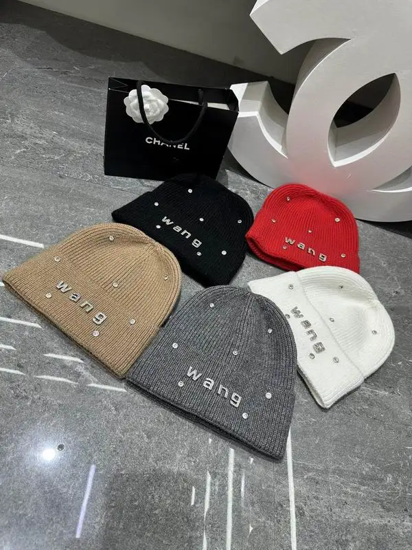 Alexander Wang hat dx06